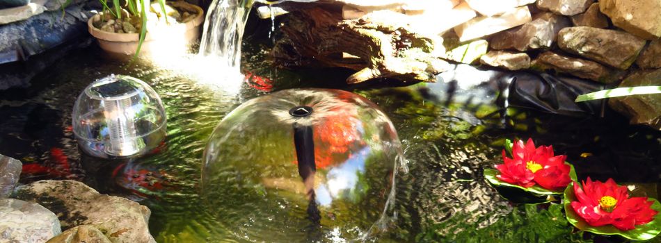 image of a water fountain in a small pond with rocks and small plants around.