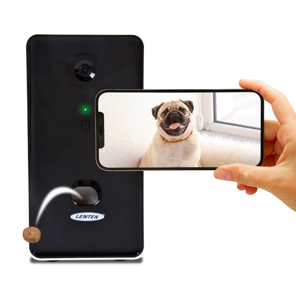 Kong Tikr Timer Activated Dog Treat Dispenser – Healthy Pet Austin