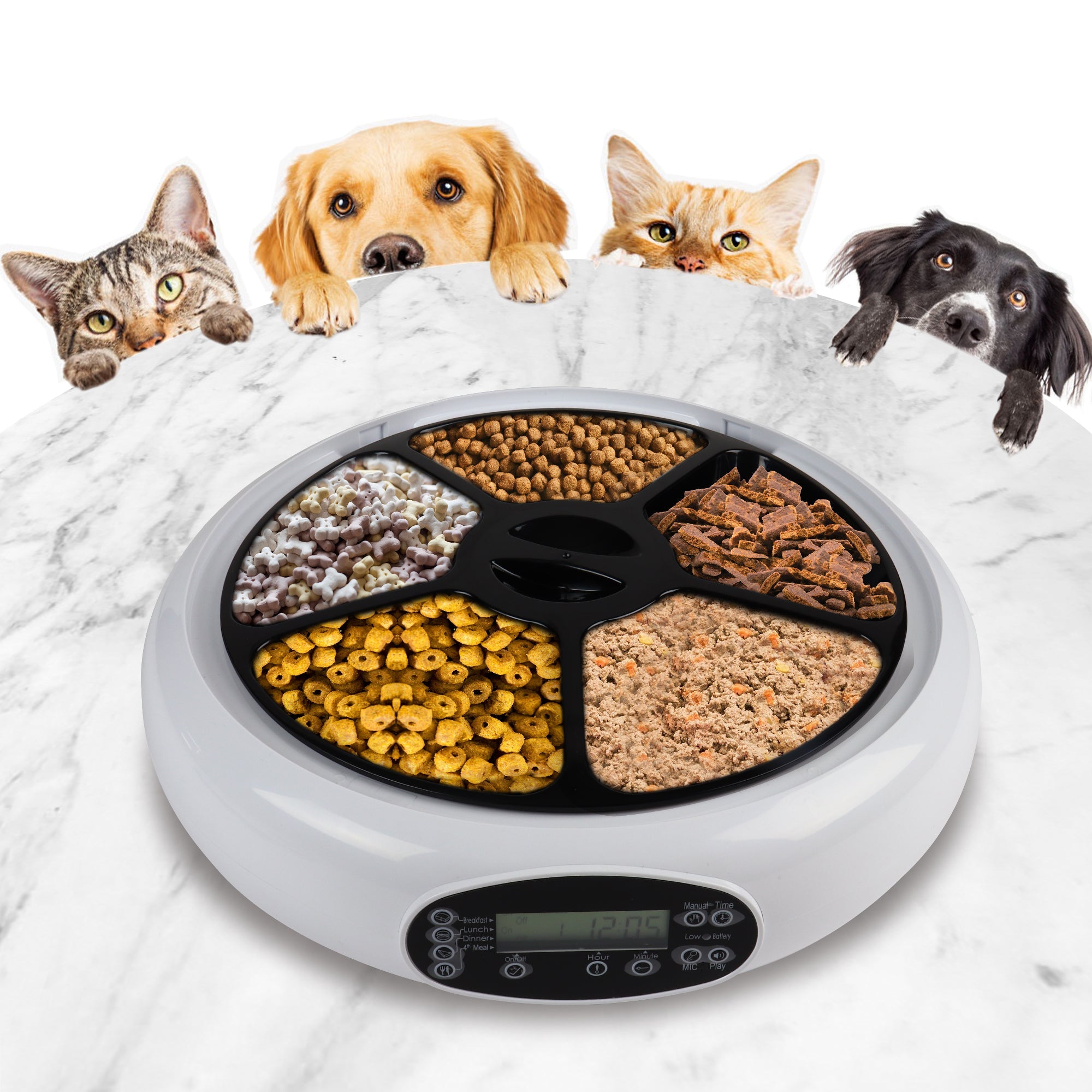 Enhanced image of Lentek 5-meal automatic pet feeder, with lid off and each compartment filled with pet food, on a marbled white surface with the faces of two cats and two dogs peering over it