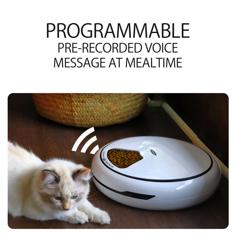 Lifestyle image of a cream-colored long-haired kitten lying on a dark wooden floor listening to a voice message coming from the Lentek 5-meal pet dish. Text above reads, "Programmable pre-recorded voice message at mealtime"