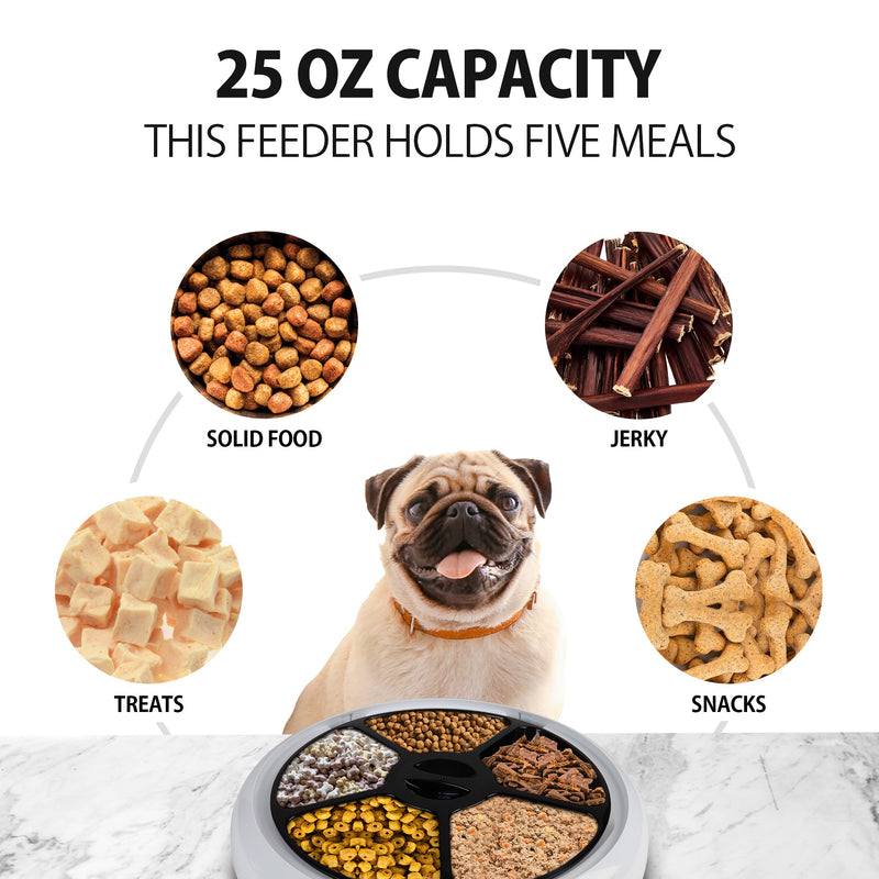 Enhanced image of Lentek 5-meal automatic pet feeder, with lid off and each compartment filled with pet food, on a marbled white surface, with a pug dog sitting behind it surrounded by four closeup images, labeled: Treats; solid food; jerky; snacks. Text above reads, "20 oz capacity: This feeder holds 5 meals"