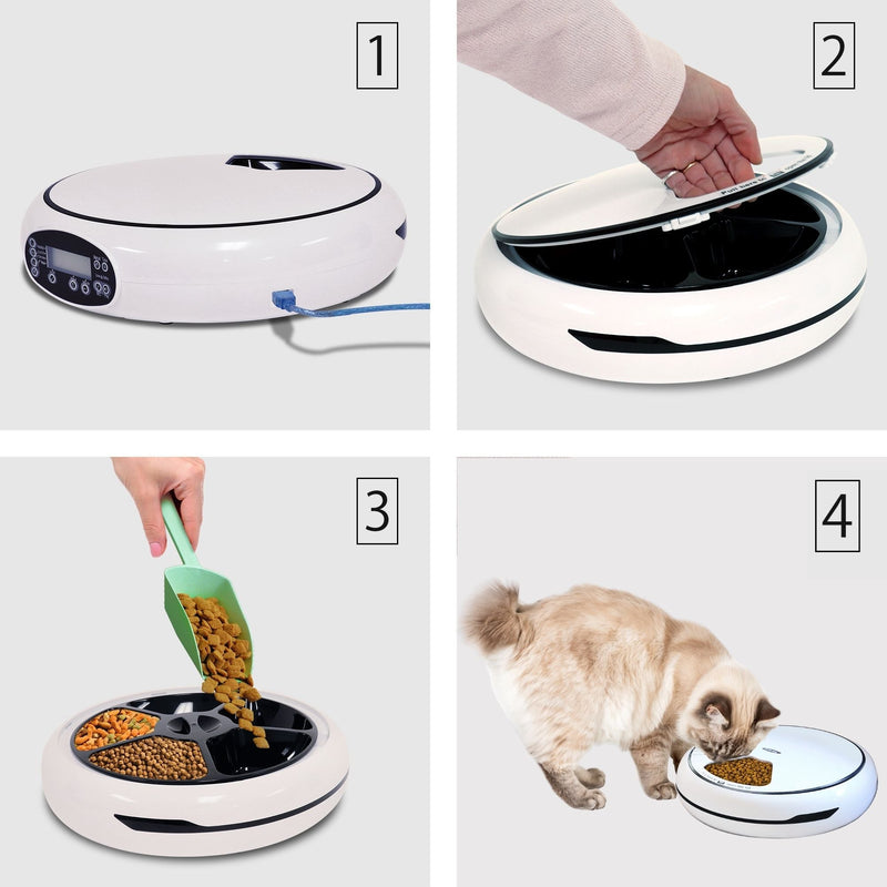 Four images show the steps for using the Lentek programmable five-meal pet dish: 1. Pet dish with USB power cord inserted; 2. A person's hand lifting the lid off the pet dish; 3. A person's hand using a green scoop to fill compartments with dry pet food; 4. A light-colored cat eating from the automatic pet feeder