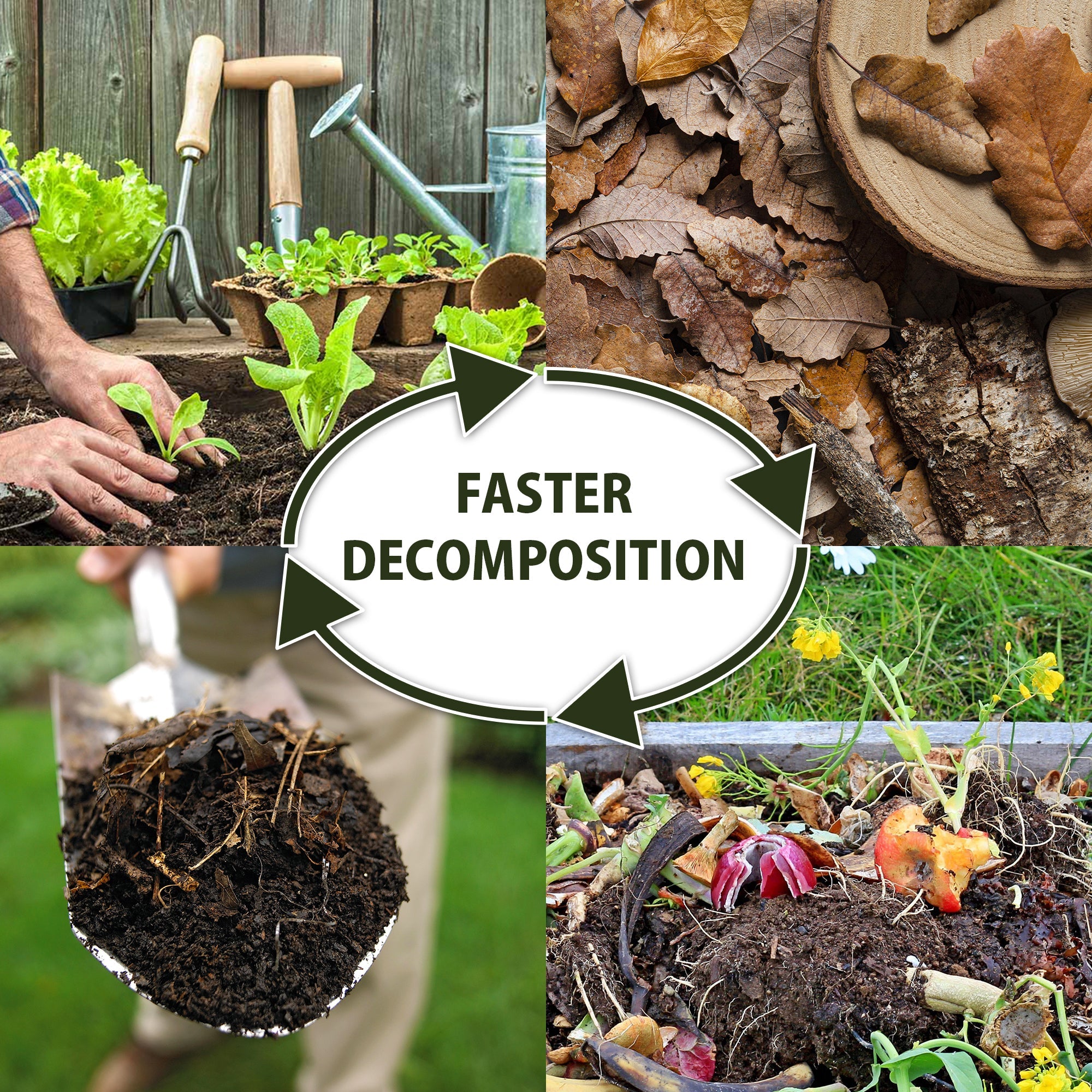 Four lifestyle images show: 1. A person's hands patting soil around a small lettuce plant with other plants, seedlings, and gardening tools in the background; 2. Brown leaves and bark covering the ground; 3. A mixture of compost and vegetable and fruit scraps; 4. Closeup of a shovelful of dark, rich-looking soil. A white oval overlay with four arrows around it in the center contains text reading, "Faster decomposition"