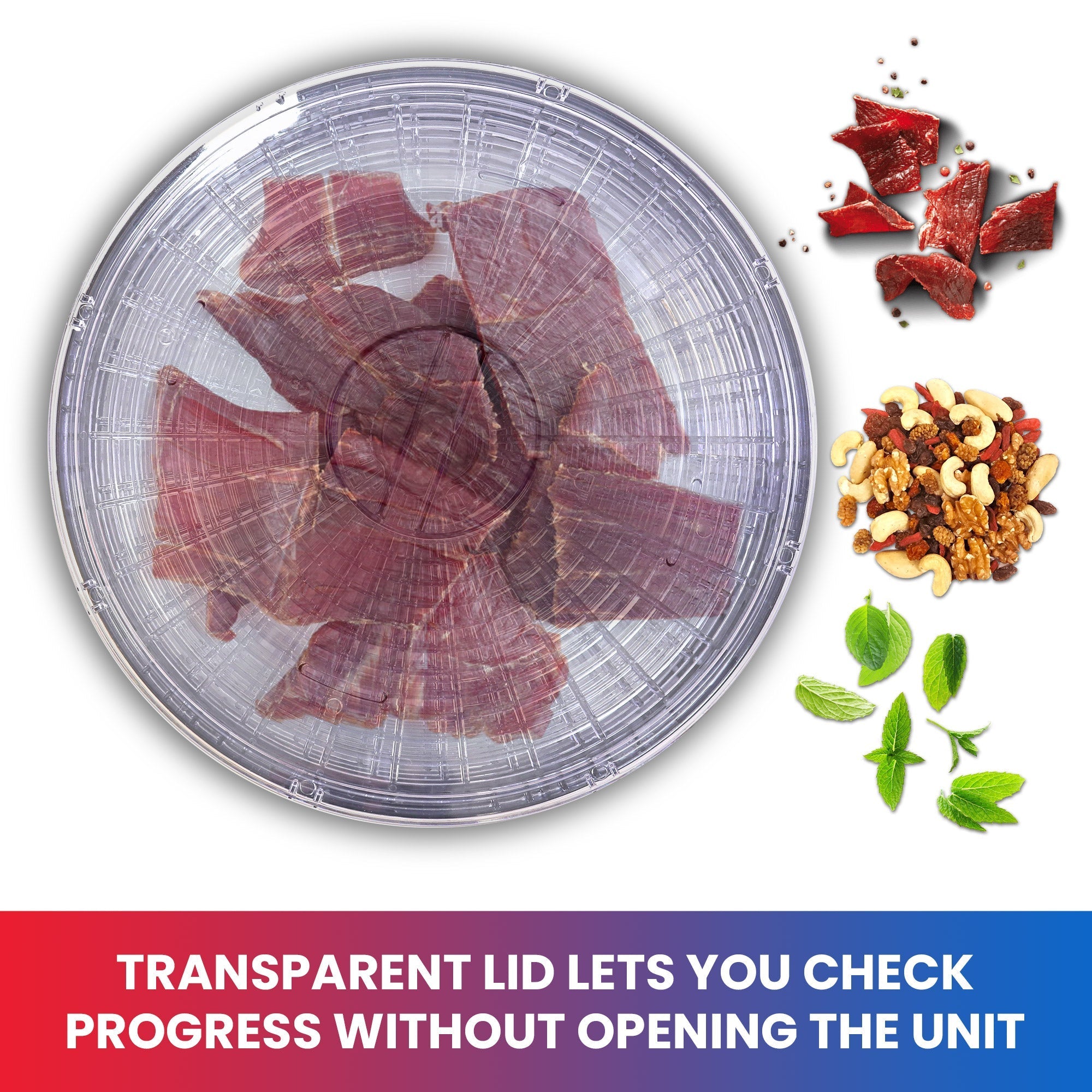 Product shot from above of food dehydrator tray with lid on and thin slices of red meat inside; three inset images to the right show beef jerky and peppercorns, mixed nuts, and mint leaves. Text below reads "Transparent lid lets you check progress without opening the unit"